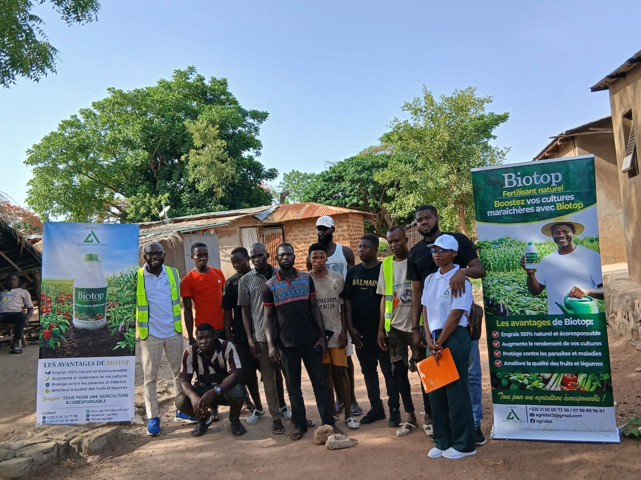 Vue aérienne de champs agricoles parfaitement alignés avec différentes nuances de vert