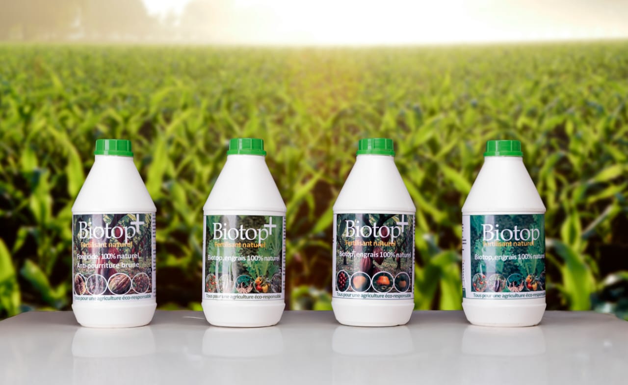 Serre haute technologie avec systèmes d'irrigation de précision et rangées de légumes verts luxuriantes sous la lumière du soleil diffuse