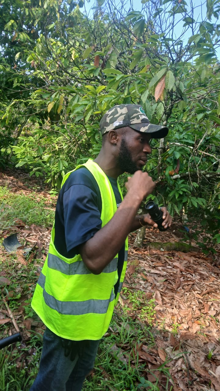 Interface technologique superposée sur un fond de légumes verts dans une configuration de ferme verticale