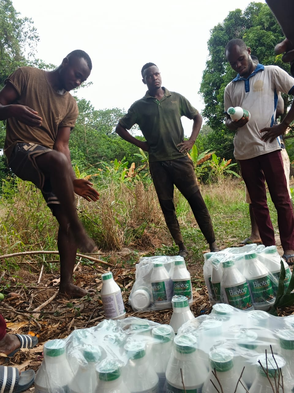 Drone agricole moderne survolant un champ de blé au coucher du soleil avec effet de flare doux